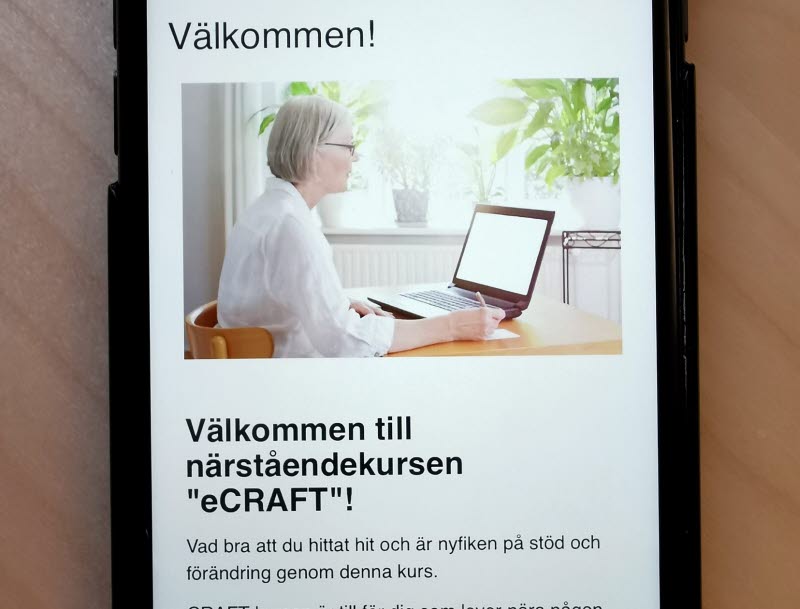 Skärmdump från eCrafts startsida